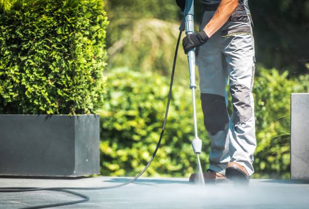 Best Driveway Cleaning and Restoration in Walker, LA