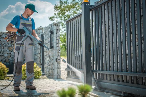 Best Pool Deck Cleaning in Walker, LA